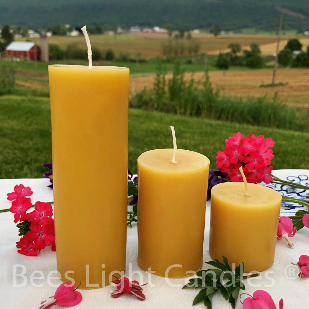2 Inch Pillar Candle Set - BIG FRENCHIES