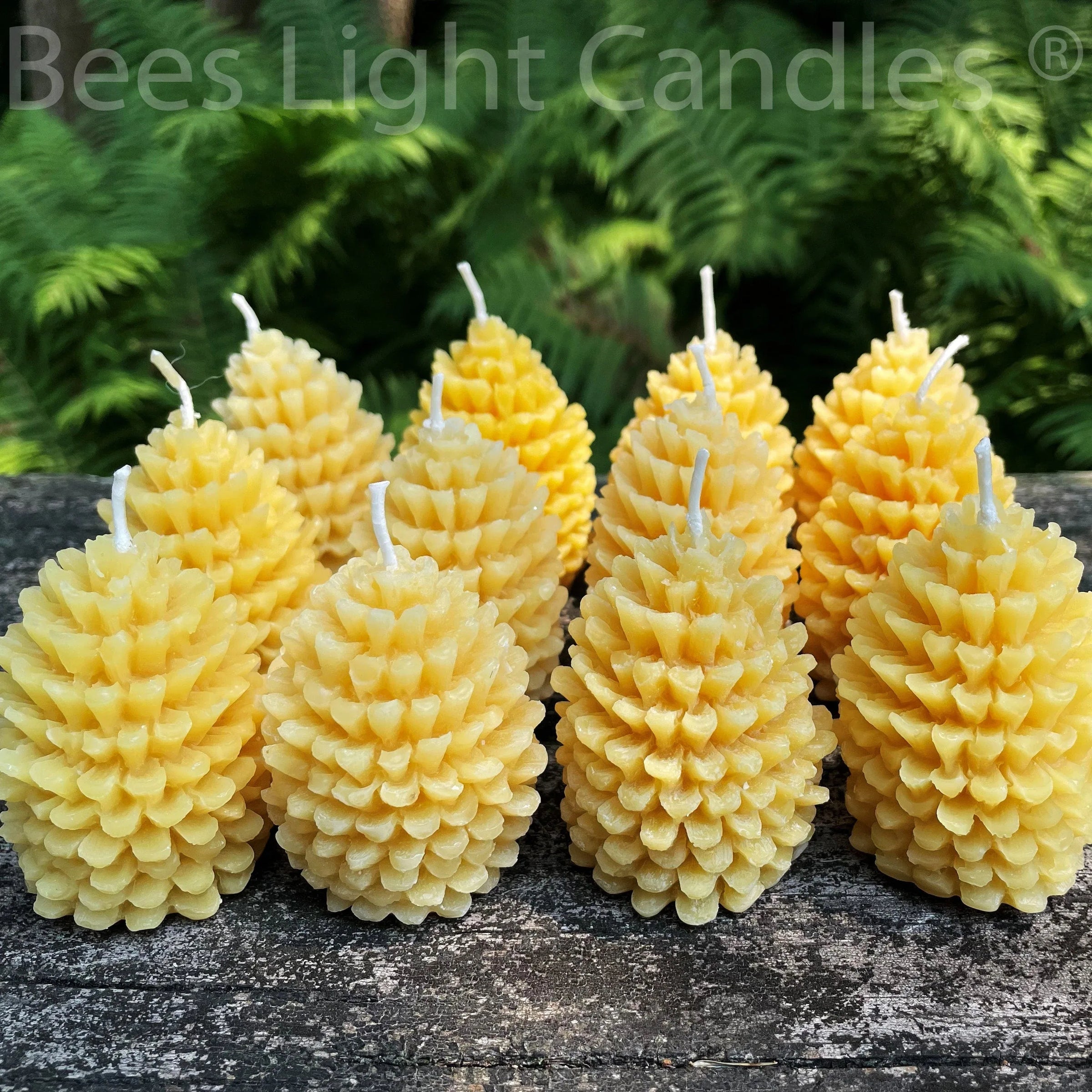 One Dozen Pinecone Beeswax Candles - BIG FRENCHIES