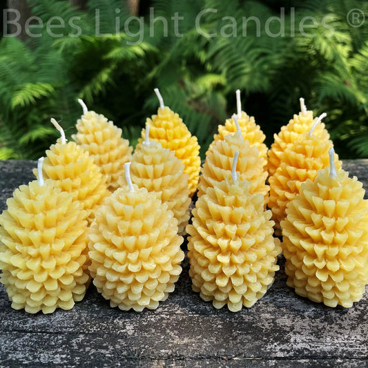 One Dozen Pinecone Beeswax Candles - BIG FRENCHIES