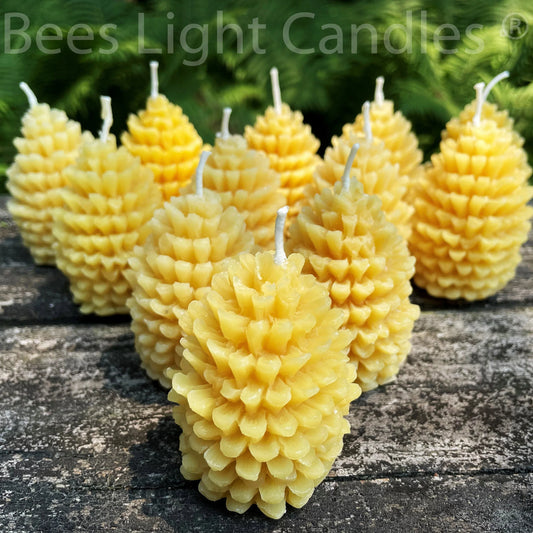 One Dozen Pinecone Beeswax Candles - BIG FRENCHIES