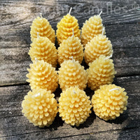 One Dozen Pinecone Beeswax Candles - BIG FRENCHIES