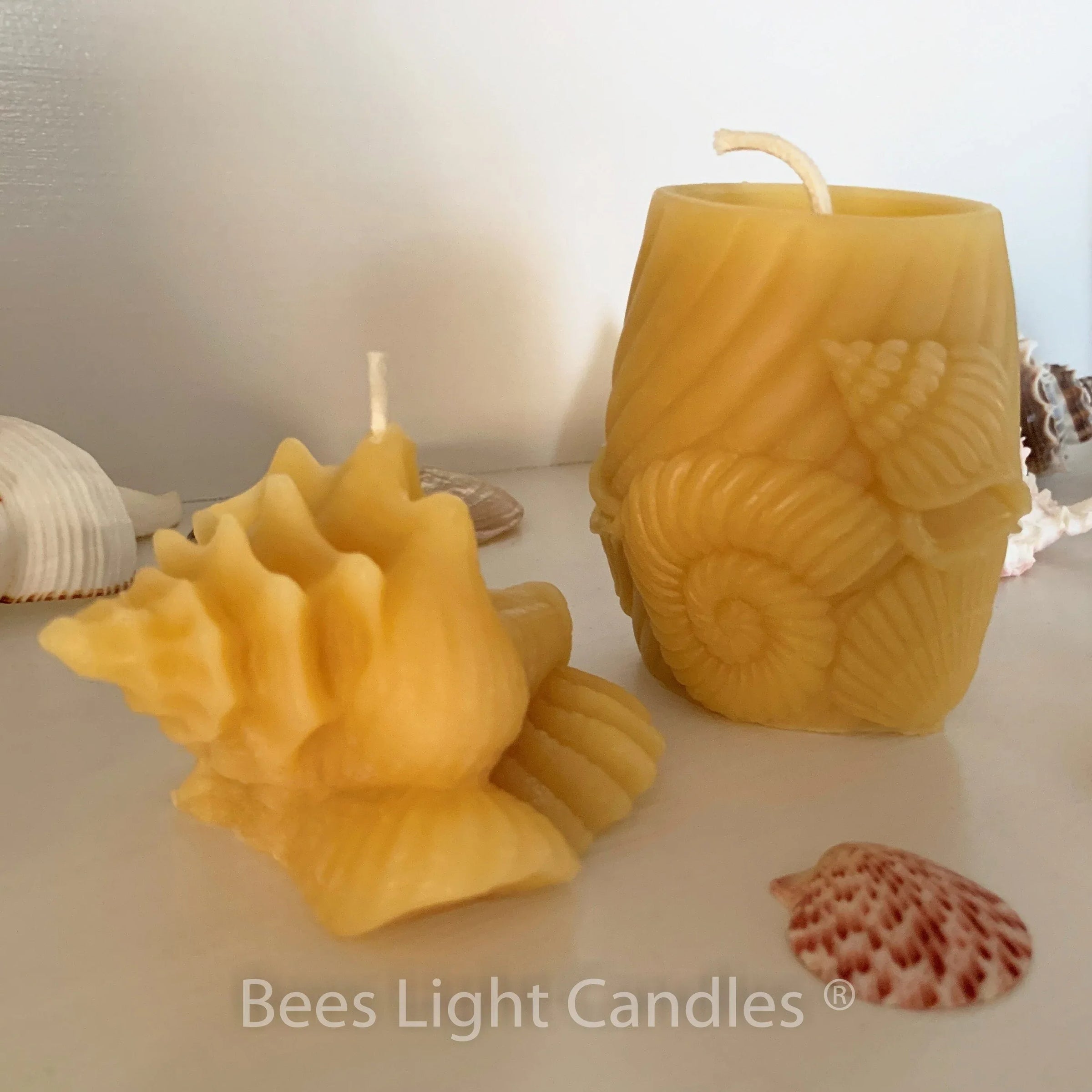 Seashell Beeswax Candle Set - BIG FRENCHIES