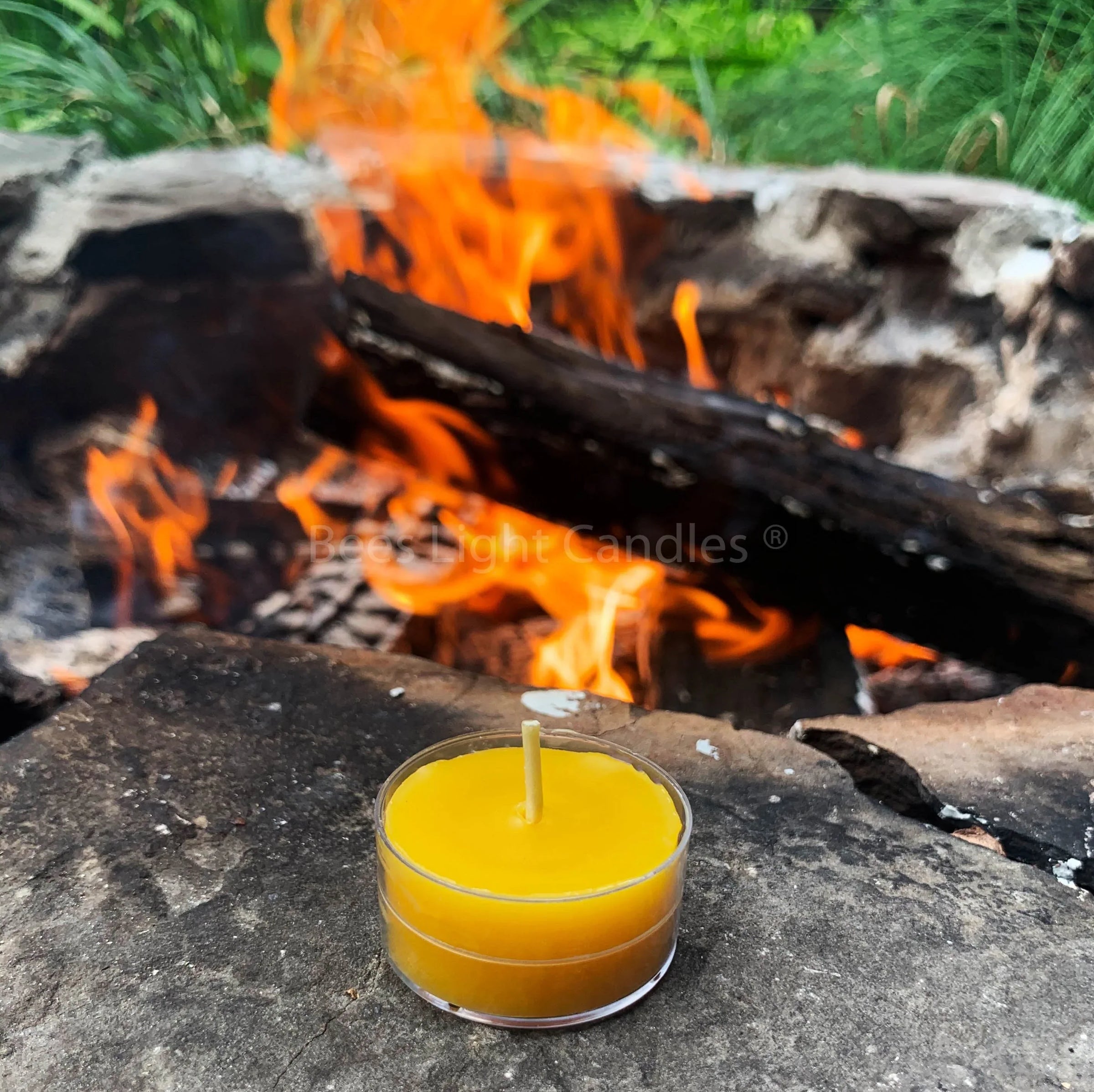 Scented Beeswax Tealight Candles Variety Pack - BIG FRENCHIES