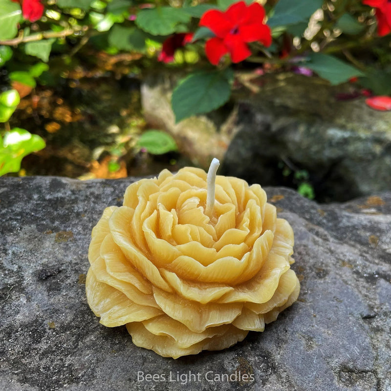 Peony Flower Beeswax Candle - BIG FRENCHIES