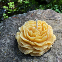 Peony Flower Beeswax Candle - BIG FRENCHIES