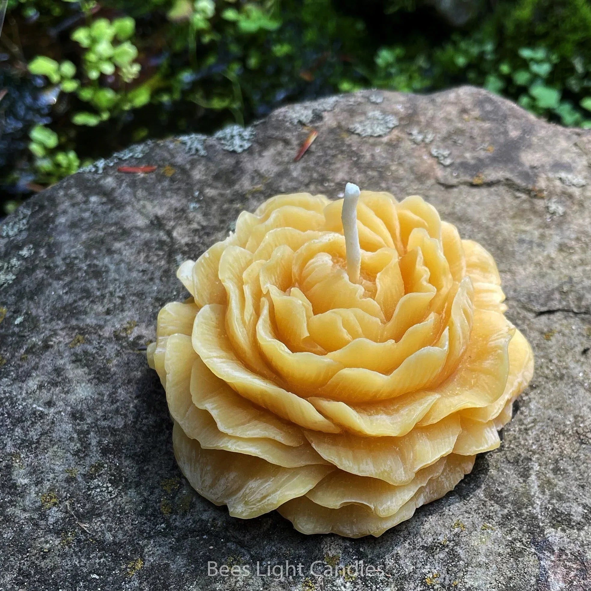 Peony Flower Beeswax Candle - BIG FRENCHIES