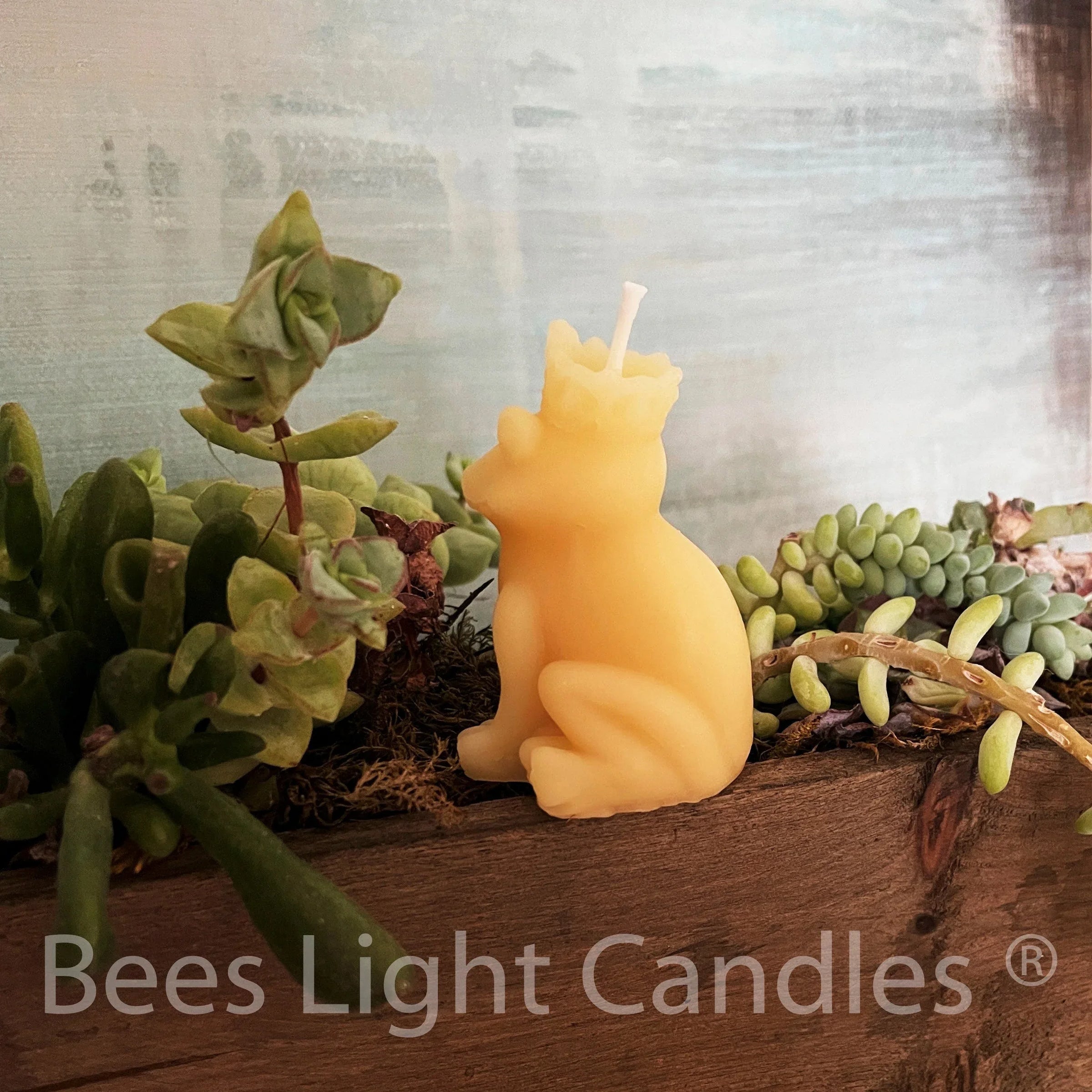 Frog Prince Beeswax Candle - BIG FRENCHIES
