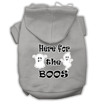 Halloween Pet Hoodie "Here For The Boos"
