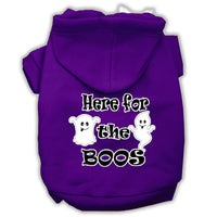 Halloween Pet Hoodie "Here For The Boos"