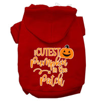 Halloween Pet Hoodie "Cutest Pumpkin In The Patch"