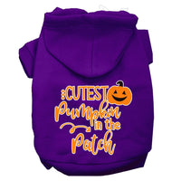 Halloween Pet Hoodie "Cutest Pumpkin In The Patch"