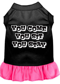Pet Dress "You Come, You Sit, You Stay"