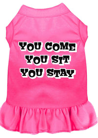 Pet Dress "You Come, You Sit, You Stay"