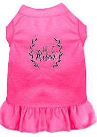 Pet Dog & Cat Dress Screen Printed, "He Is Risen"