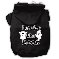 Halloween Pet Hoodie "Here For The Boos"