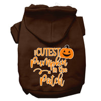 Halloween Pet Hoodie "Cutest Pumpkin In The Patch"