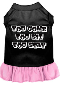 Pet Dress "You Come, You Sit, You Stay"