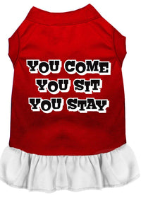 Pet Dress "You Come, You Sit, You Stay"