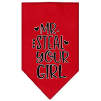 Pet and Dog Bandana Screen Printed, "Mr. Steal Your Girl"
