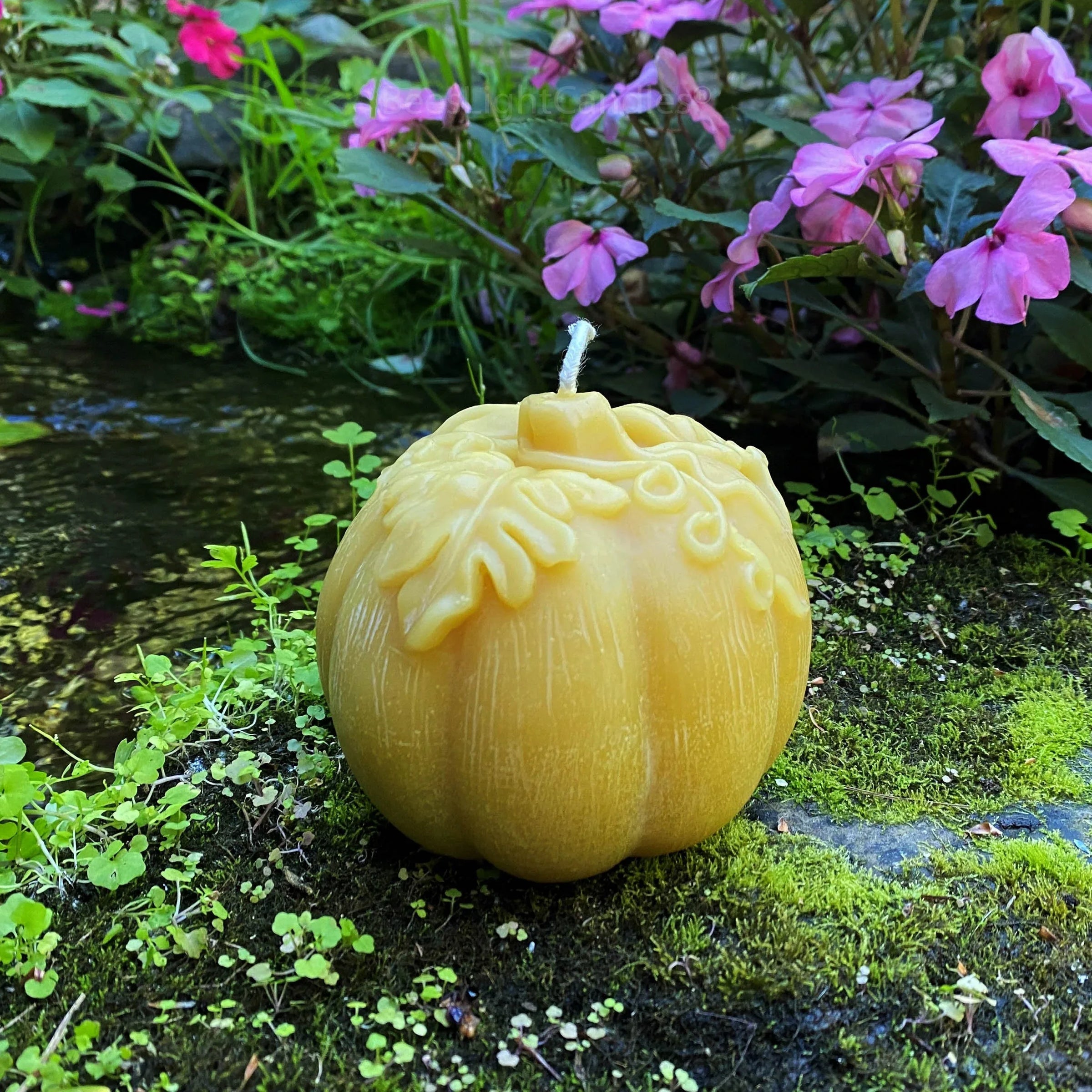Large Pumpkin Beeswax Candle - BIG FRENCHIES