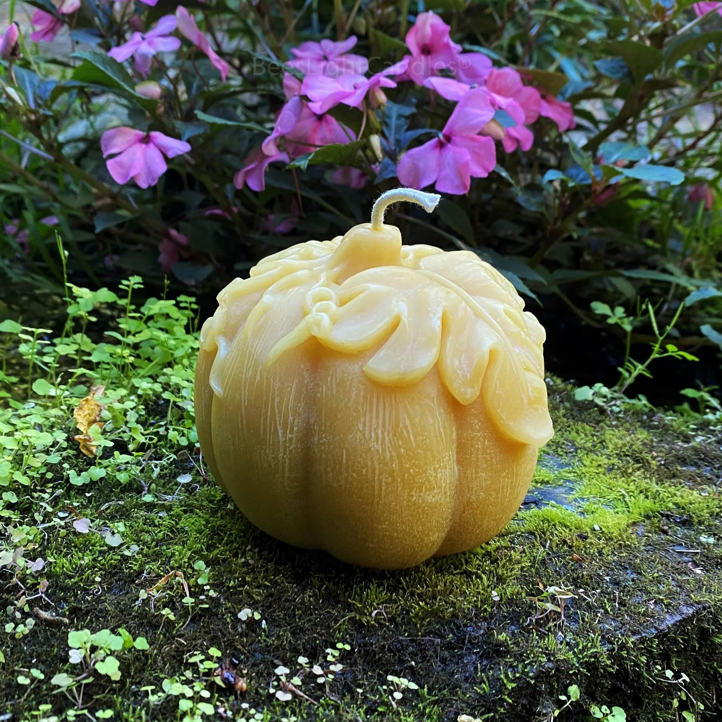 Large Pumpkin Beeswax Candle - BIG FRENCHIES