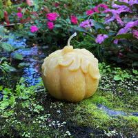 Large Pumpkin Beeswax Candle - BIG FRENCHIES
