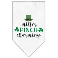 Pet and Dog Bandana Screen Printed, "Mr. Pinch Charming"