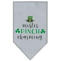 Pet and Dog Bandana Screen Printed, "Mr. Pinch Charming"