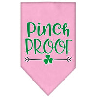 Pet and Dog Bandana Screen Printed, "Pinch Proof"