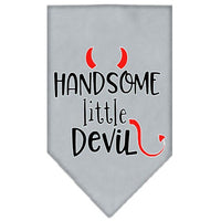 Pet and Dog Bandana Screen Printed, "Handsome Little Devil"