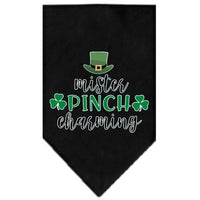 Pet and Dog Bandana Screen Printed, "Mr. Pinch Charming"