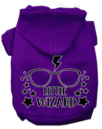 Pet Hoodie "Little Wizard"