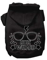 Pet Hoodie "Little Wizard"