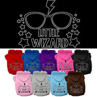 Pet Hoodie "Little Wizard"