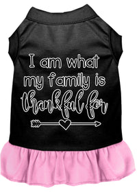 Pet Dress "I Am What My Family Is Thankful For"