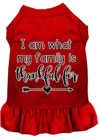 Pet Dress "I Am What My Family Is Thankful For"