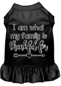 Pet Dress "I Am What My Family Is Thankful For"