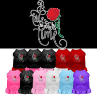 Pet Dress Screen Printed, "Timeless Tale"