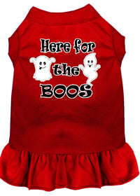 Pet Dress "Here For The Boos"