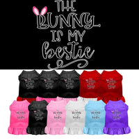 Pet Dress "The Bunny Is My Bestie"