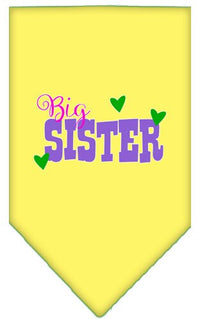 Pet and Dog Bandana Screen Printed, "Big Sister"