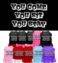 Pet Dress "You Come, You Sit, You Stay"