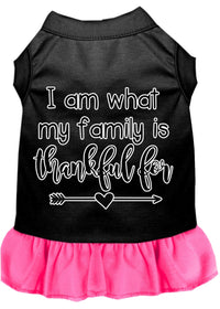 Pet Dress "I Am What My Family Is Thankful For"