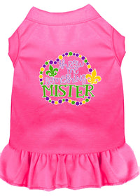 Pet Dress "Throw Me Something Mister"