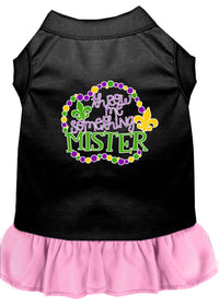 Pet Dress "Throw Me Something Mister"
