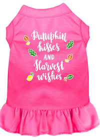 Pet Dress "Pumpkin Kisses and Harvest Wishes"