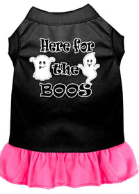 Pet Dress "Here For The Boos"