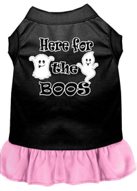 Pet Dress "Here For The Boos"