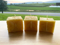 Pollinator Pillar Beeswax Candle Collection - BIG FRENCHIES