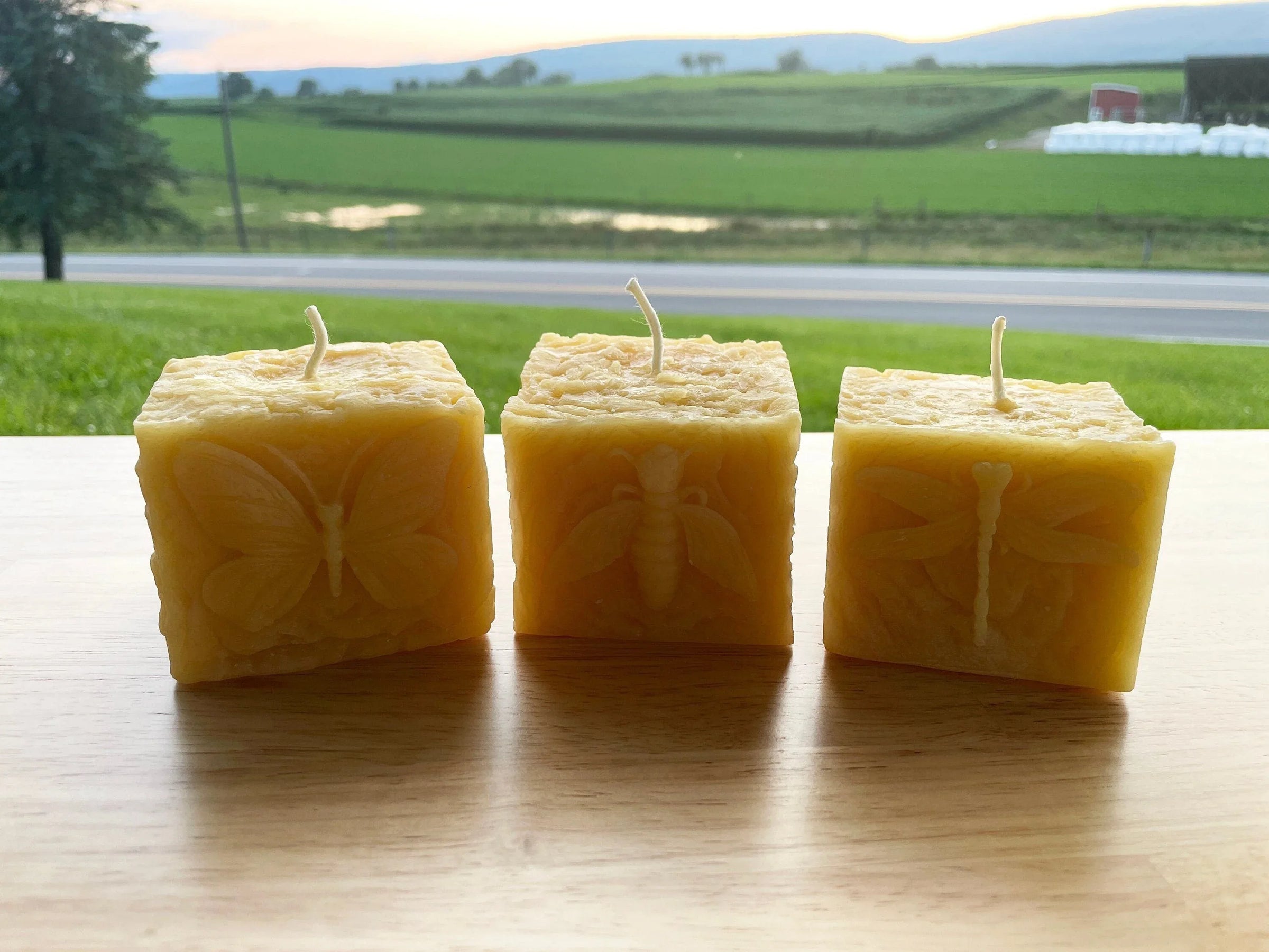 Pollinator Pillar Beeswax Candle Collection - BIG FRENCHIES